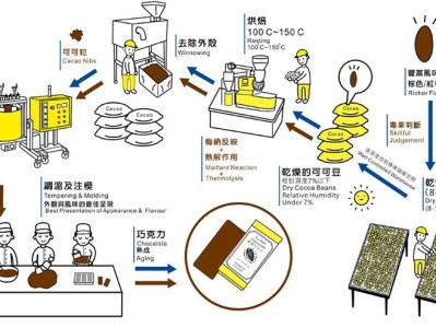 巧克力的历史演变、生产工艺及其健康影响研究