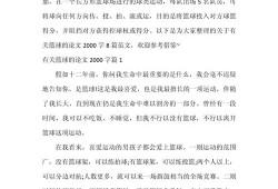 篮球体育生毕业论文格式与写作要点分析