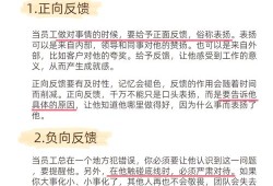 总裁毕业论文，领导力与战略思维的实践与反思