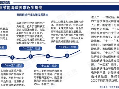 中国钢铁行业低碳转型，技术路径优化与政策模拟研究