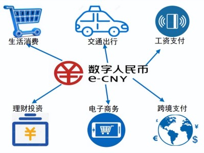 数字人民币跨境支付清算系统的脆弱性评估与风险防范