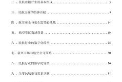 航空运输的发展与未来趋势
