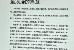 感恩之心，学术之路，本科毕业论文致谢的深度解析与个人感悟