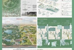 城市家庭园艺的可持续实践与生态效益研究