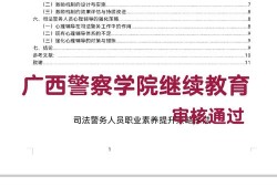 警校毕业论文，现代警务工作中的挑战与对策