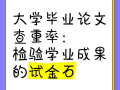 硕士研究生毕业论文答辩，学术炼金炉中的试金石