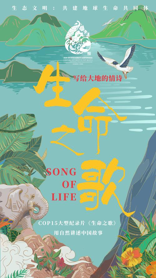 自然歌唱，声音与自然的和谐共生  第1张