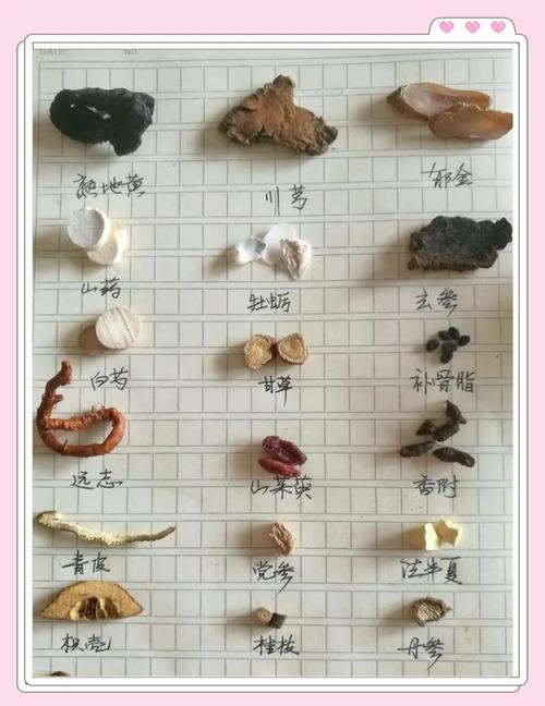 中药材鉴定方法研究与应用，传统与现代技术的结合  第1张
