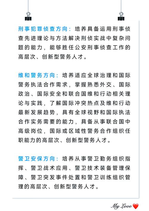 警校毕业论文，现代警务工作中的挑战与对策  第2张