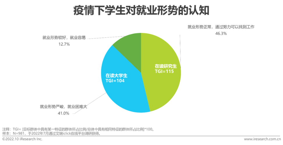 新时代背景下大学生就业困境与对策研究  第2张