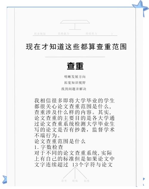 论文草稿查重之谜，工具、风险与学术自律  第2张
