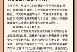 硕士毕业论文查重，学术规范与规避策略研究