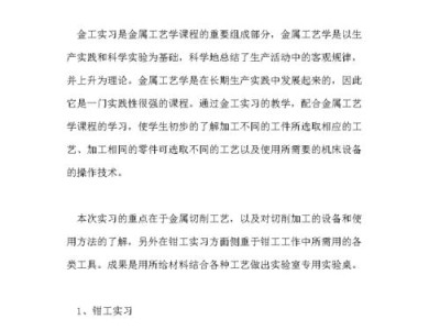 顶岗实习毕业论文
