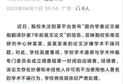 跨越学术雷区的双刃剑，高校毕业论文抄袭往届作品的深层解析与规避路径