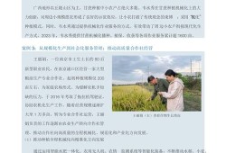 东北农业大学毕业论文，扎根黑土，服务龙江农业的实践与思考