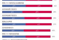 ESG信息披露，企业会计新挑战与发展路径研究