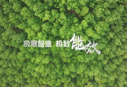 非稳态转型背景下房地产企业资产评估的挑战与创新路径研究—以绿城置业向绿色低碳转型为例