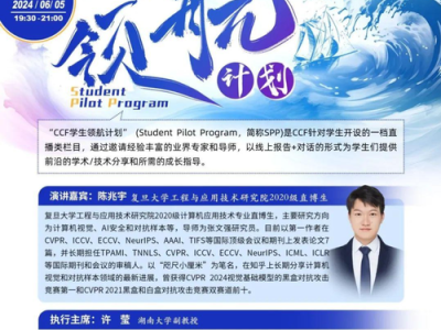 对抗样本攻击与防御技术，研究进展与未来挑战