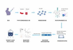 生物制药，创新驱动下的挑战与机遇 以单克隆抗体药物为例