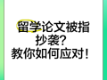 抄袭之殇，剽窃上一届毕业论文的迷途与警醒