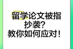 抄袭之殇，剽窃上一届毕业论文的迷途与警醒
