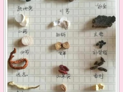 中药材鉴定方法研究与应用，传统与现代技术的结合
