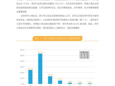 小微企业数字化转型融资约束破解