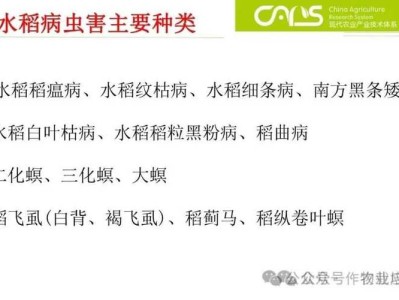 华南农大毕业论文，探究水稻病虫害防治技术及其在乡村振兴中的应用价值分析