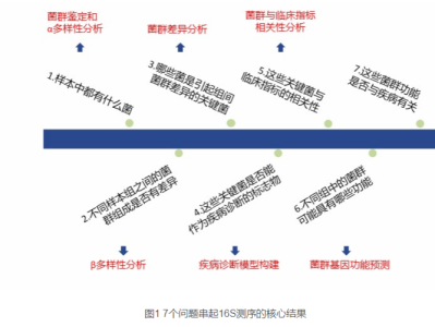 微生物组测序数据清洗，从原始数据到高质量分析