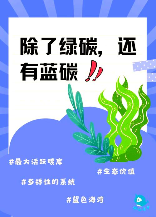 海岸带蓝碳生态系统服务价值核算及市场化补偿机制创新  第1张