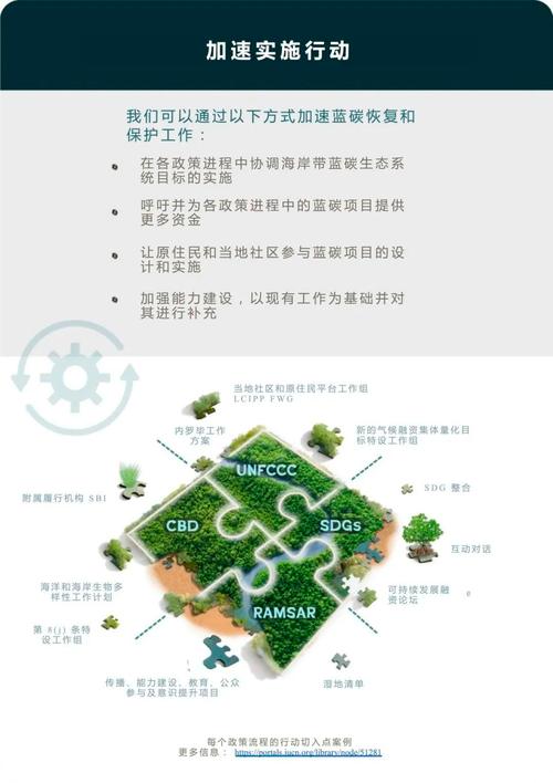 海岸带蓝碳生态系统服务价值核算及市场化补偿机制创新  第2张