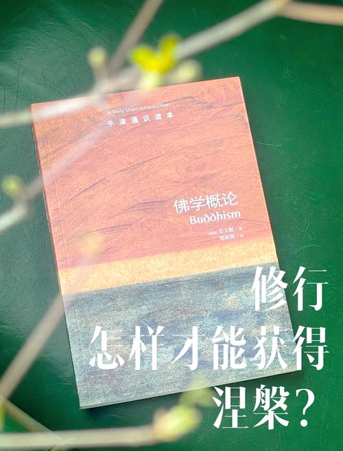 毕业论文未通过后的涅槃之路，理性应对与成功逆袭的实用指南  第2张