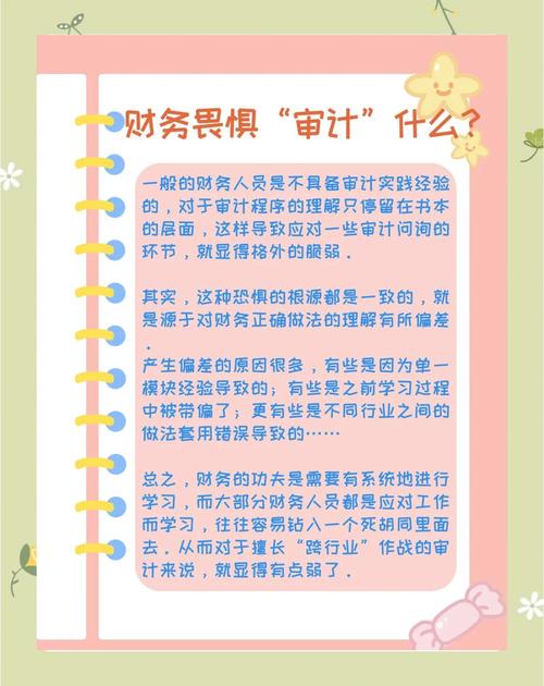 会计师事务所的双重身份困境，从经济警察到商业伙伴的挑战与平衡  第1张