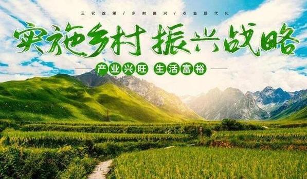 基于制度逻辑与在地化创新的乡村振兴多元主体协同路径研究—以浙江安吉鲁家村为例  第2张