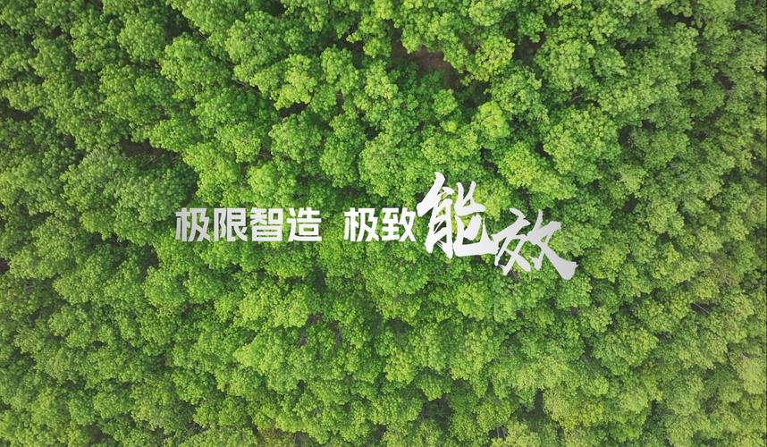 非稳态转型背景下房地产企业资产评估的挑战与创新路径研究—以绿城置业向绿色低碳转型为例  第1张