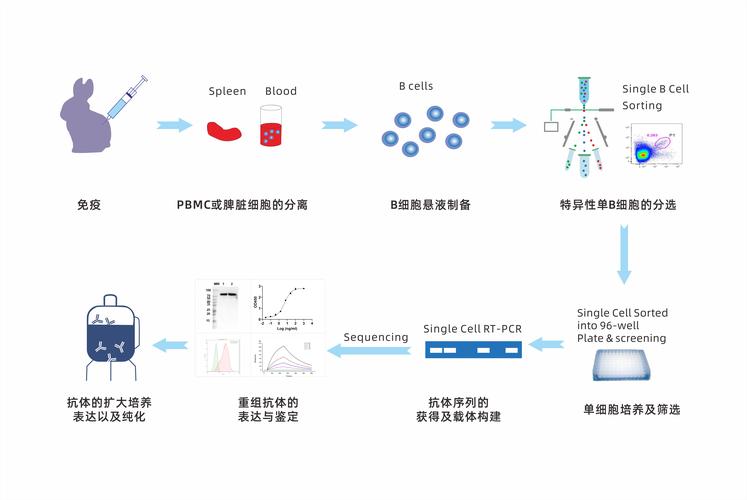 生物制药，创新驱动下的挑战与机遇 以单克隆抗体药物为例  第1张