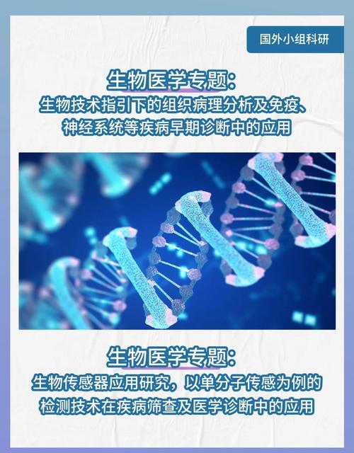 生物工程在医疗领域的应用及发展前景  第1张